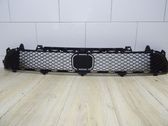 Front bumper lower grill