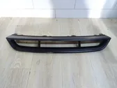 Front bumper lower grill