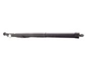 Tailgate/trunk strut/damper