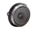 Rear door speaker