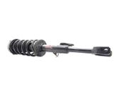 Front shock absorber with coil spring