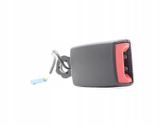 Seat belt trim