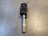 Front shock absorber/damper