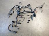 Engine installation wiring loom