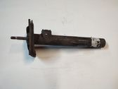 Front shock absorber/damper