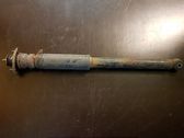 Rear shock absorber/damper