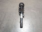 Front shock absorber/damper