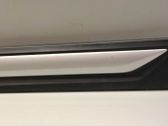 Rear door trim (molding)