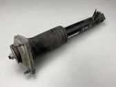 Rear shock absorber/damper