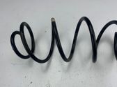 Front coil spring