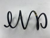 Front coil spring