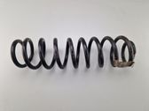 Front coil spring