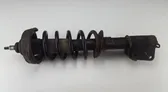 Front shock absorber/damper