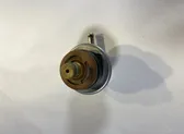 Fuel pressure regulator