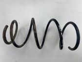 Front coil spring