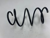 Front coil spring