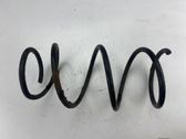 Front coil spring