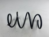 Front coil spring