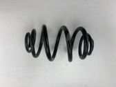Rear coil spring
