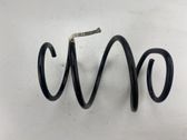 Front coil spring
