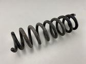 Rear coil spring