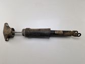 Rear shock absorber/damper