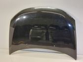 Engine bonnet/hood