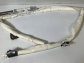Roof airbag