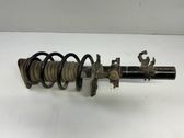 Front shock absorber/damper