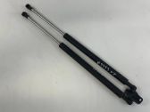 Tailgate/trunk strut/damper
