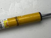 Rear shock absorber/damper