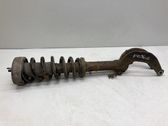 Front shock absorber/damper