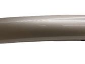 Other body part