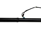 Tailgate strut