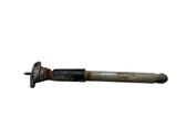 Rear shock absorber/damper