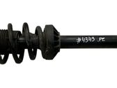 Front shock absorber/damper