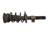 Front shock absorber/damper
