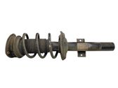 Front shock absorber/damper
