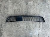 Front bumper lower grill