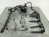 Fuel injection system set