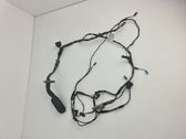 Front door wiring loom