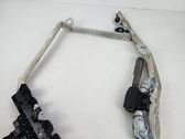 Roof airbag