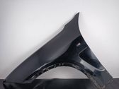 Fender