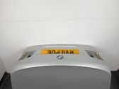 Tailgate/trunk/boot lid