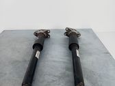 Rear shock absorber/damper