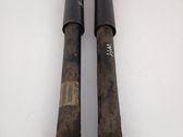 Rear shock absorber/damper
