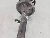 Front shock absorber with coil spring