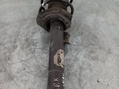 Front shock absorber/damper