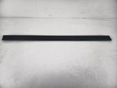 Rear door trim (molding)