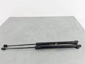 Tailgate/trunk strut/damper